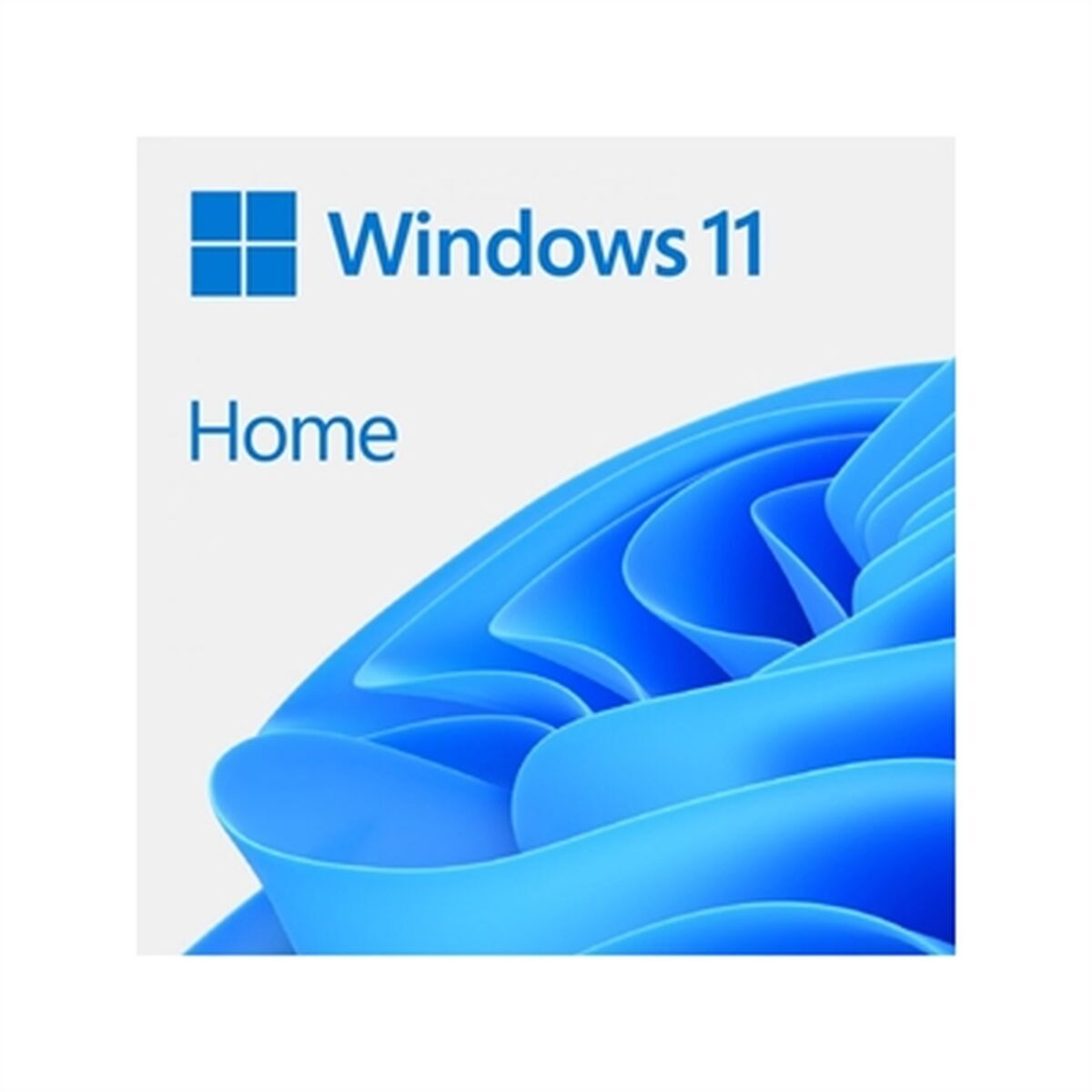 Picture of Management Software Microsoft Windows 11 Home