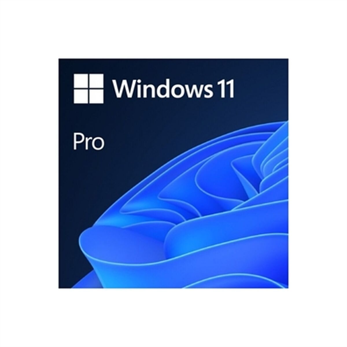 Picture of Management Software Microsoft Windows 11 Pro