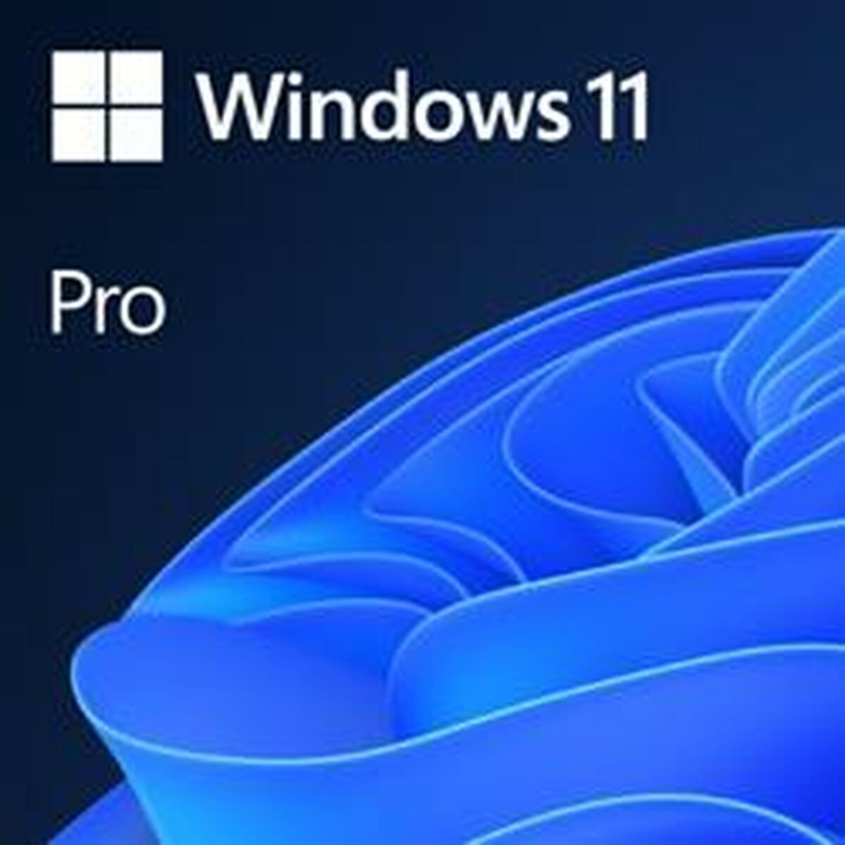 Picture of Management Software Microsoft Windows 11 Pro