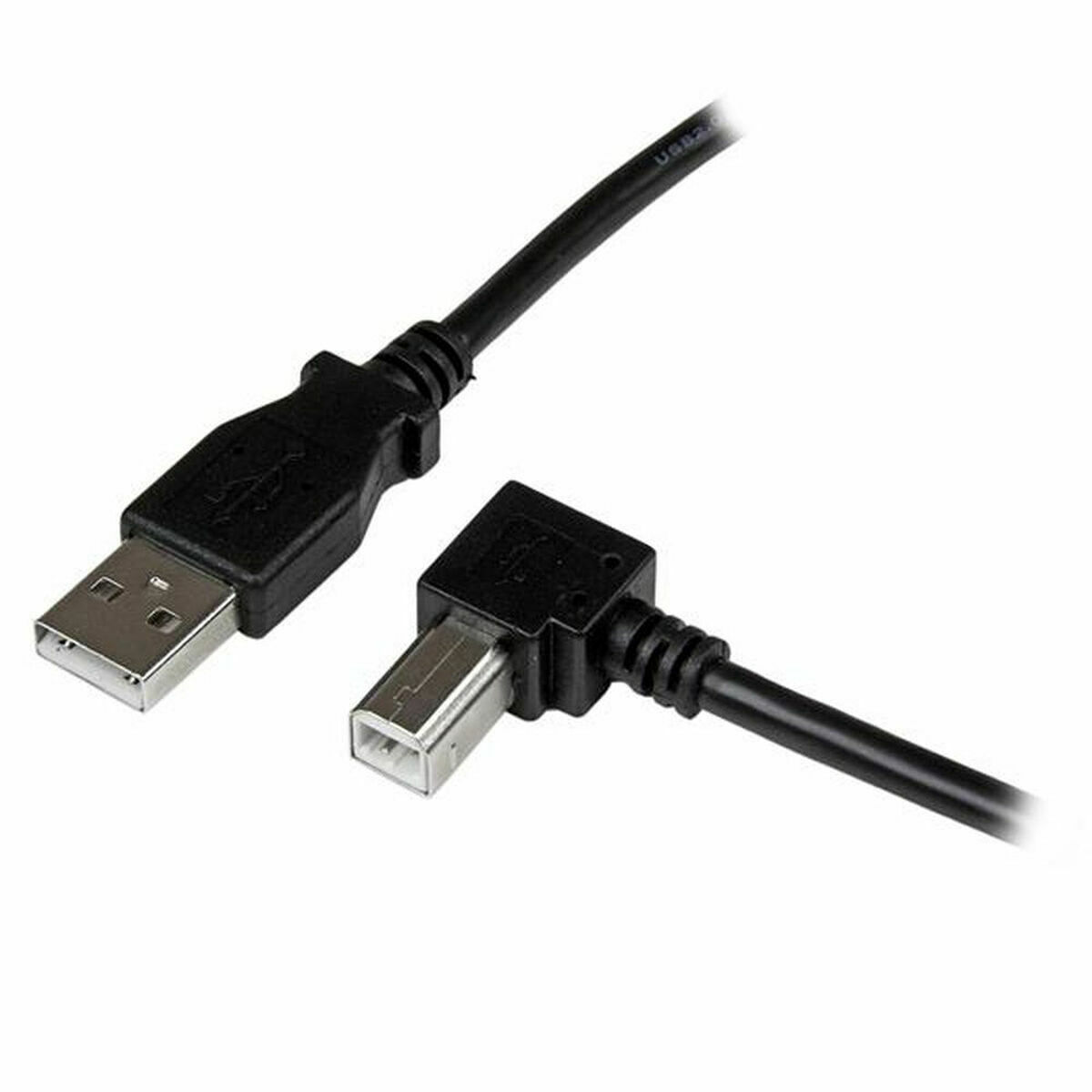 Câble USB A vers USB B Startech USBAB1MR             Noir