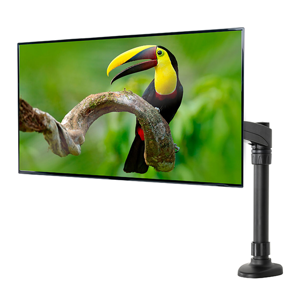 Bild von Screen Table Support B-Tech BT7373/B 28" 10"