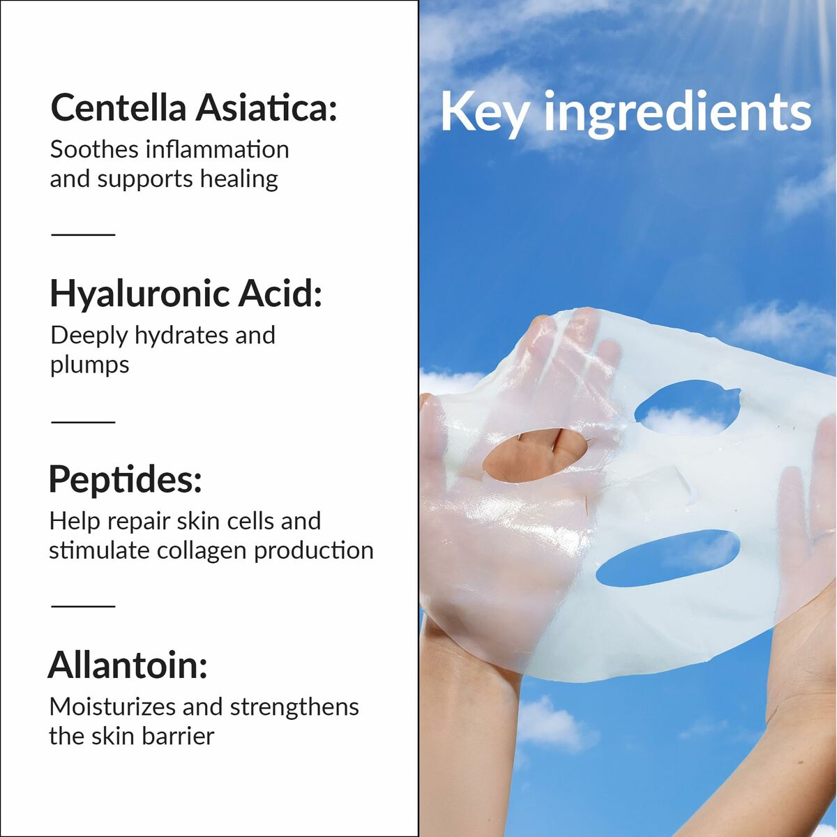 Gezichtsmasker Talika BIO ENZYMES