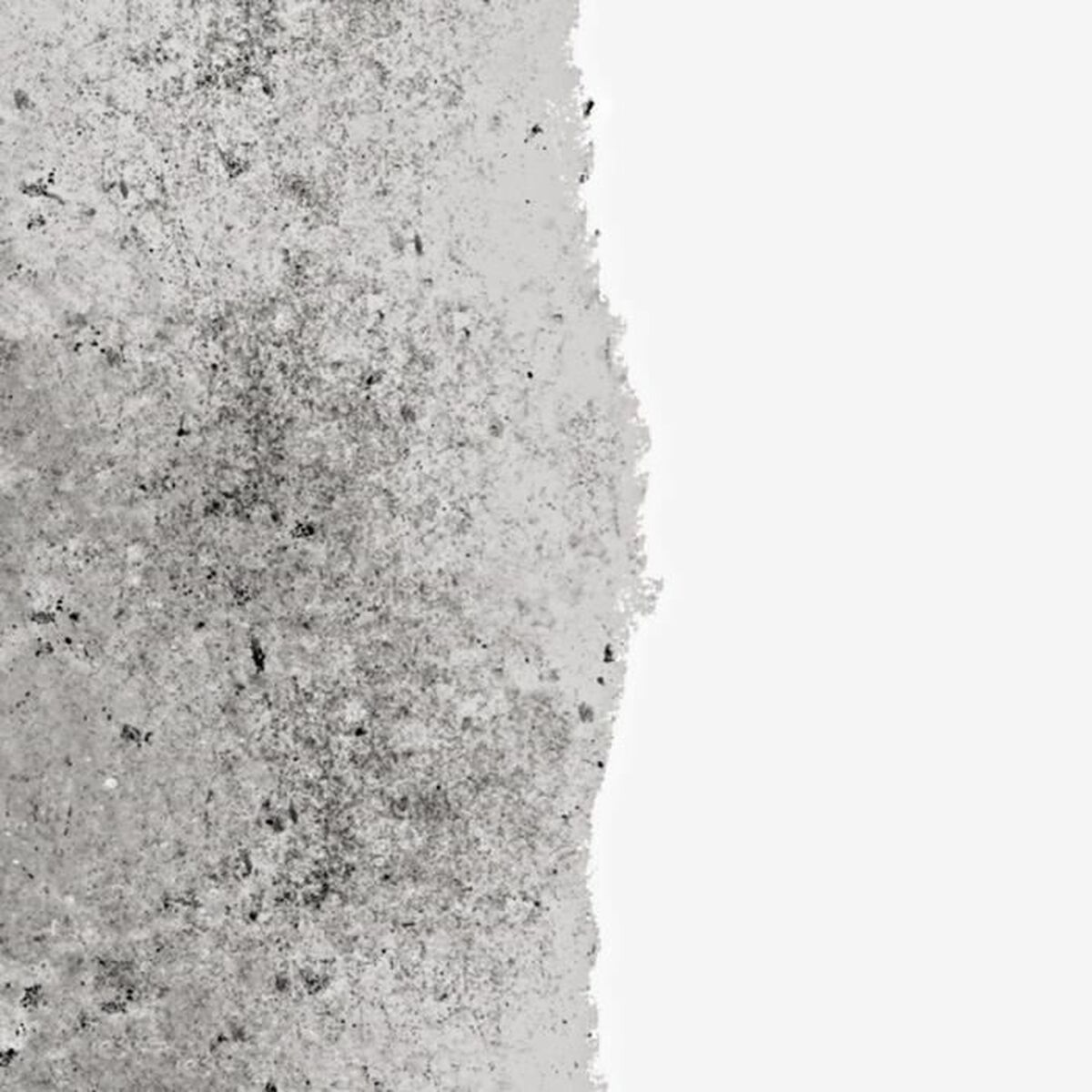 Farba Podkładowa Ripolin Biały Matowy 2,5 L