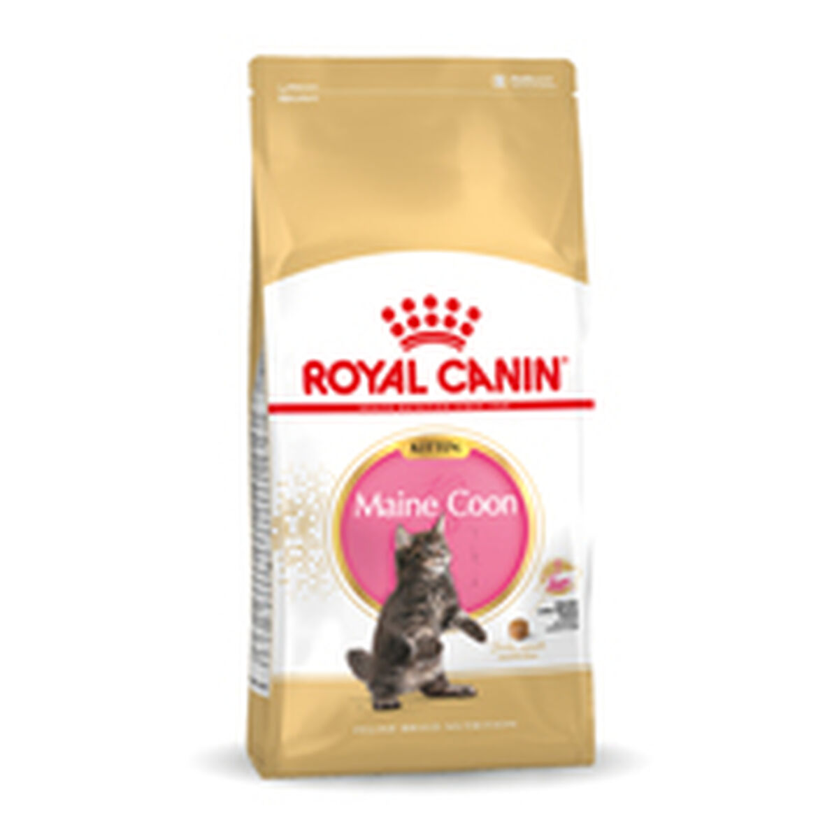 Aliments pour chat Royal Canin Maine Coon Kitten