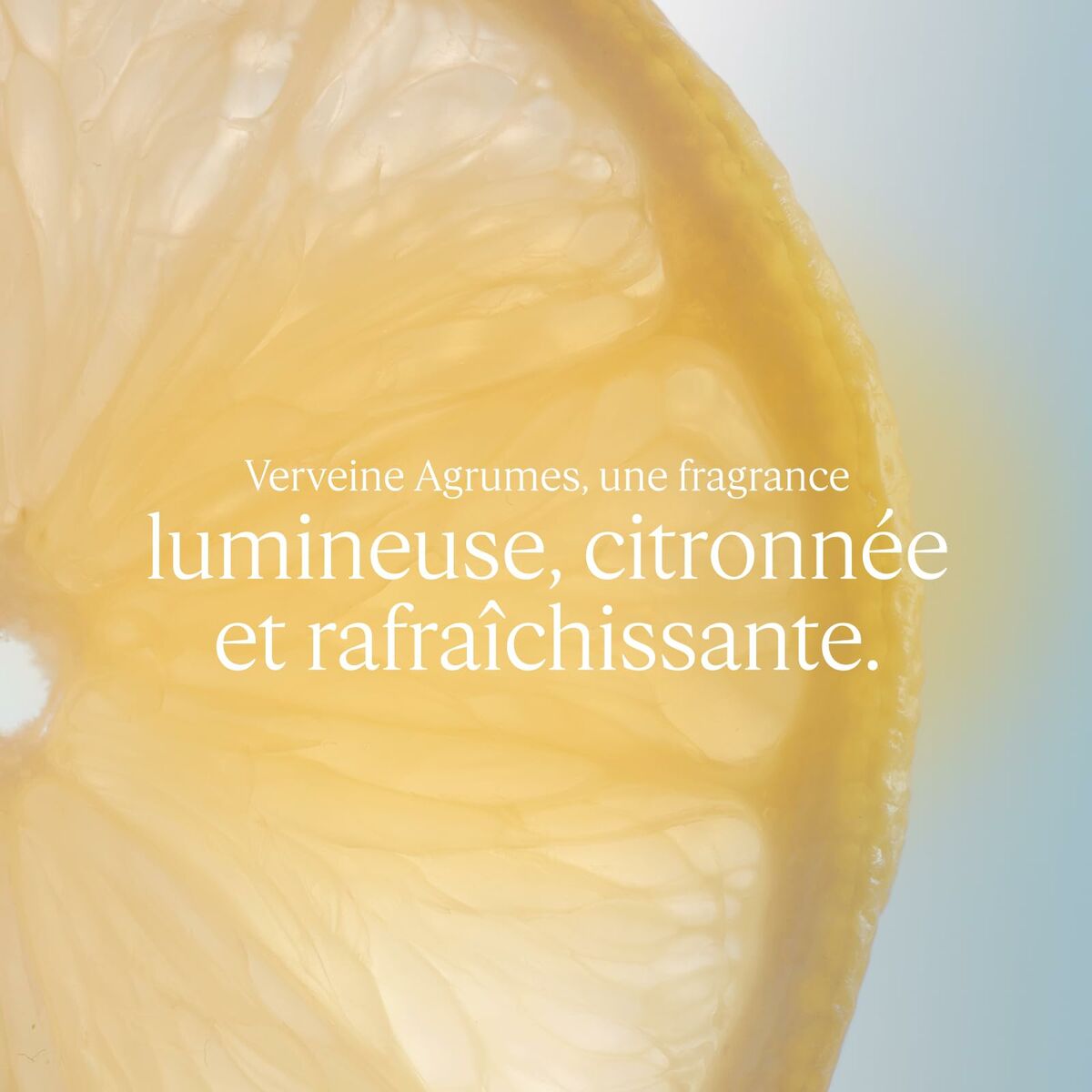 Nipple shield L'Occitane En Provence Verbena