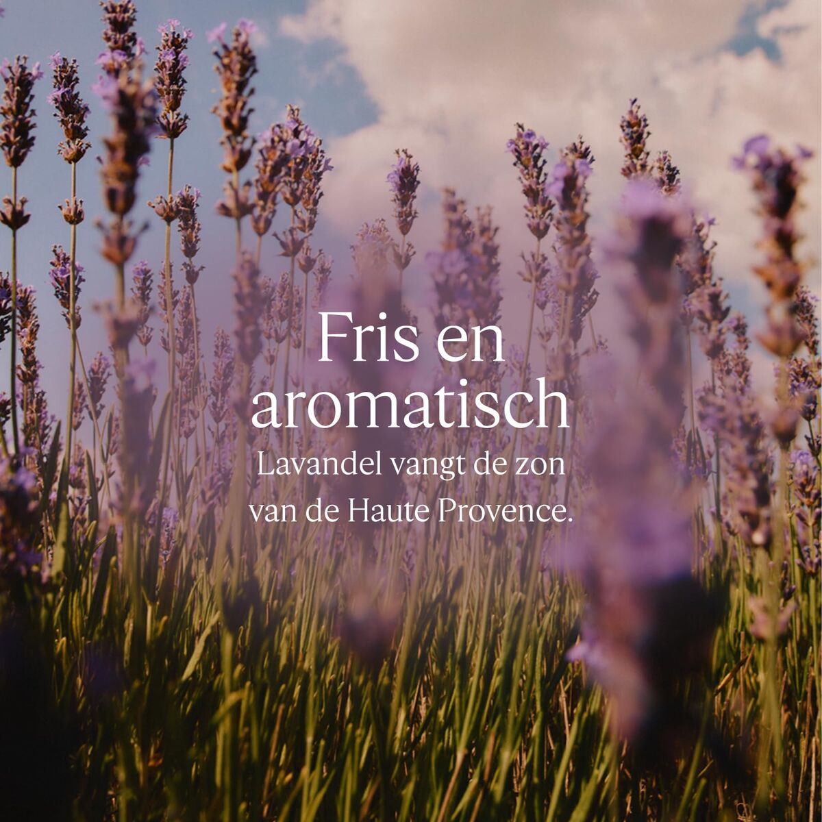 Osobná hygiena a kúpeľ