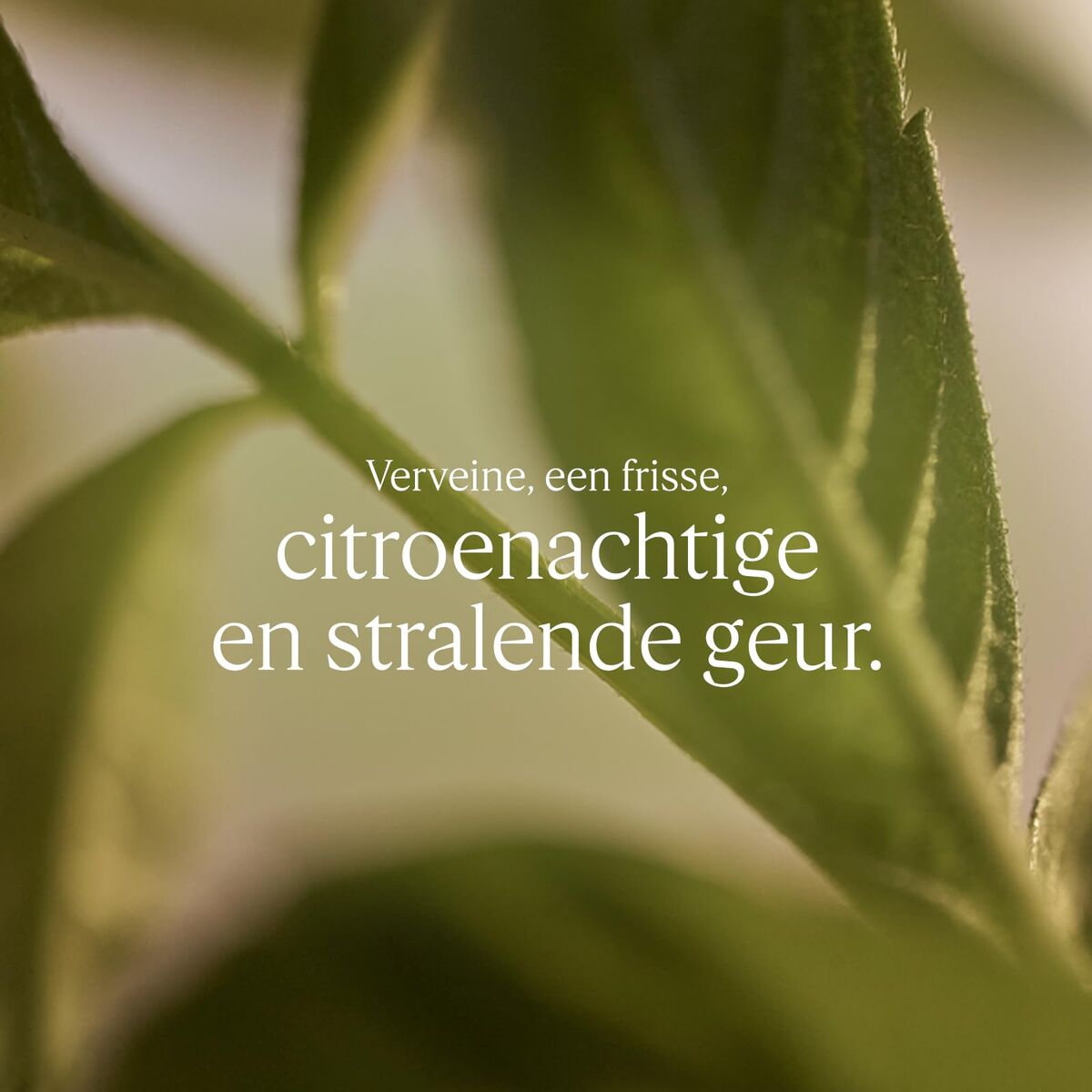 Bară de săpun și săpun lichid pentru mâini