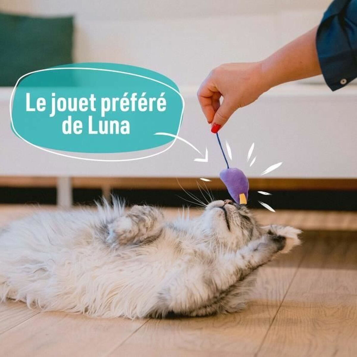 Kattenspeeltje Aimé Multicolour 7 Onderdelen