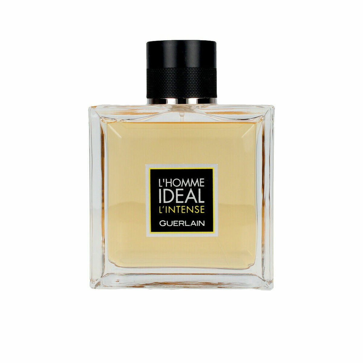 Herenparfum Guerlain G013491 EDP 100 ml