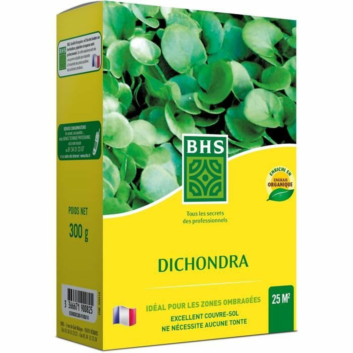 Σπόροι BHS Dichondra
