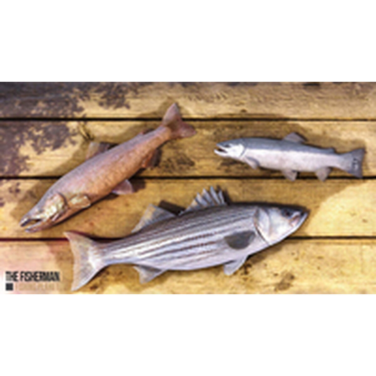 PlayStation 4 Video Game Nacon PS4FISHPLANLTDSPPT