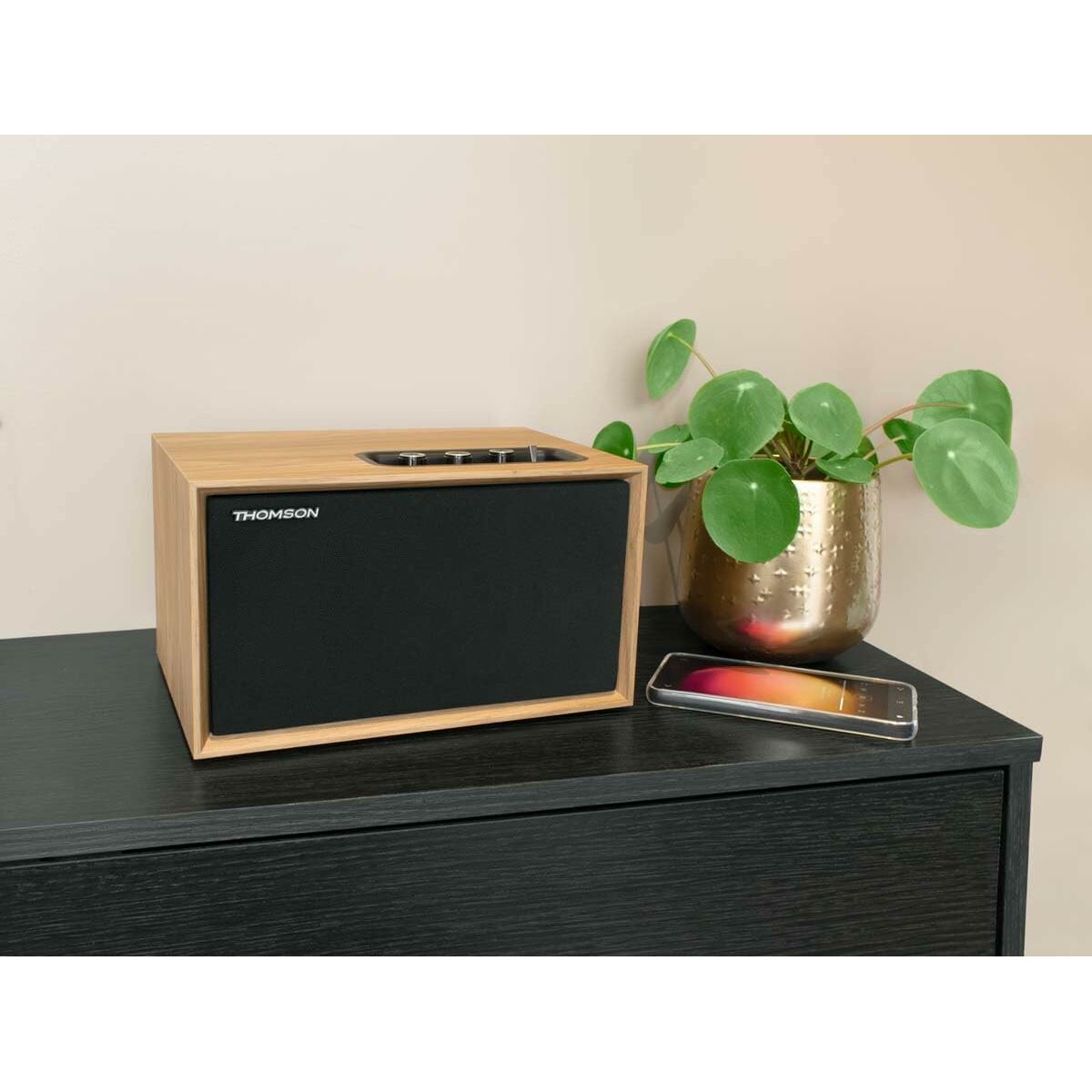 Immagine di Speakers Thomson 50 W