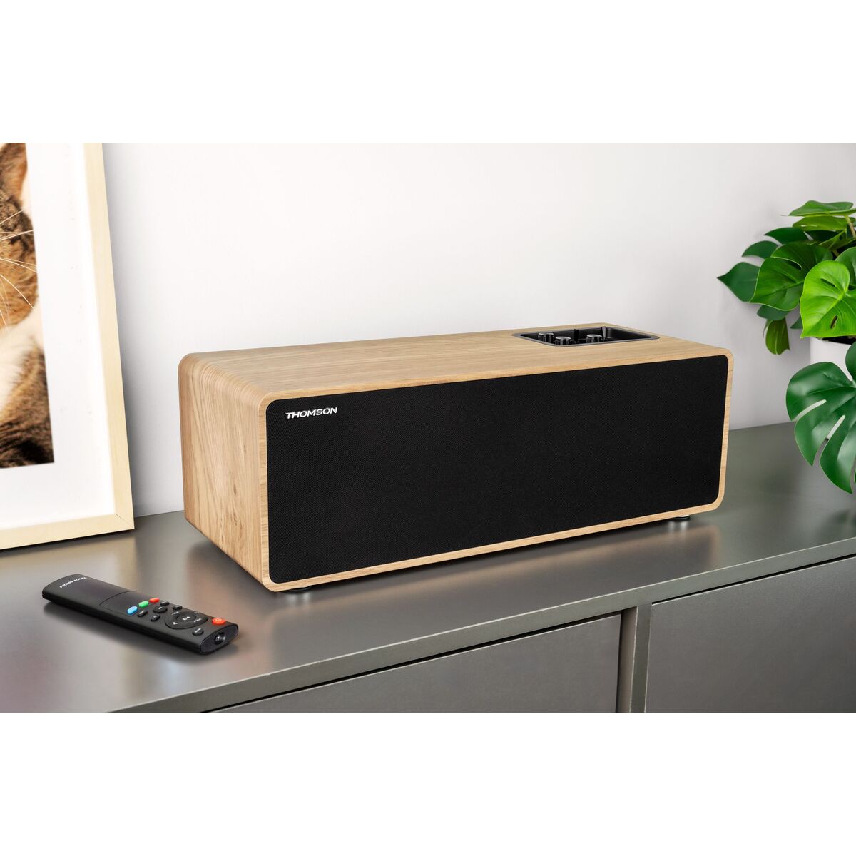 Picture of Portable Bluetooth Speakers Thomson