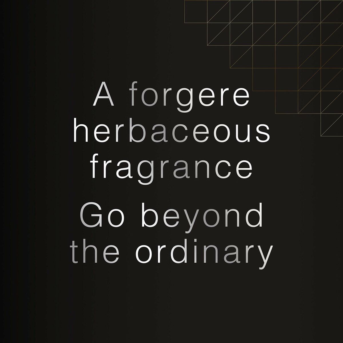 Herenparfum David Beckham Beyond