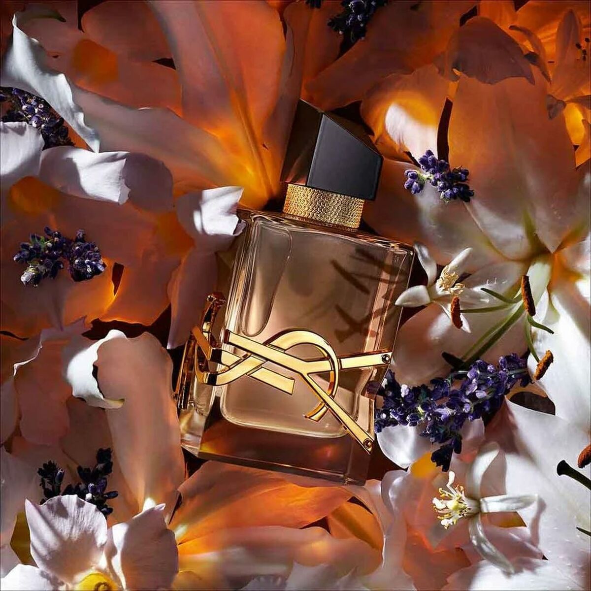 Damesparfum YSL Libre Edp Florale EDP