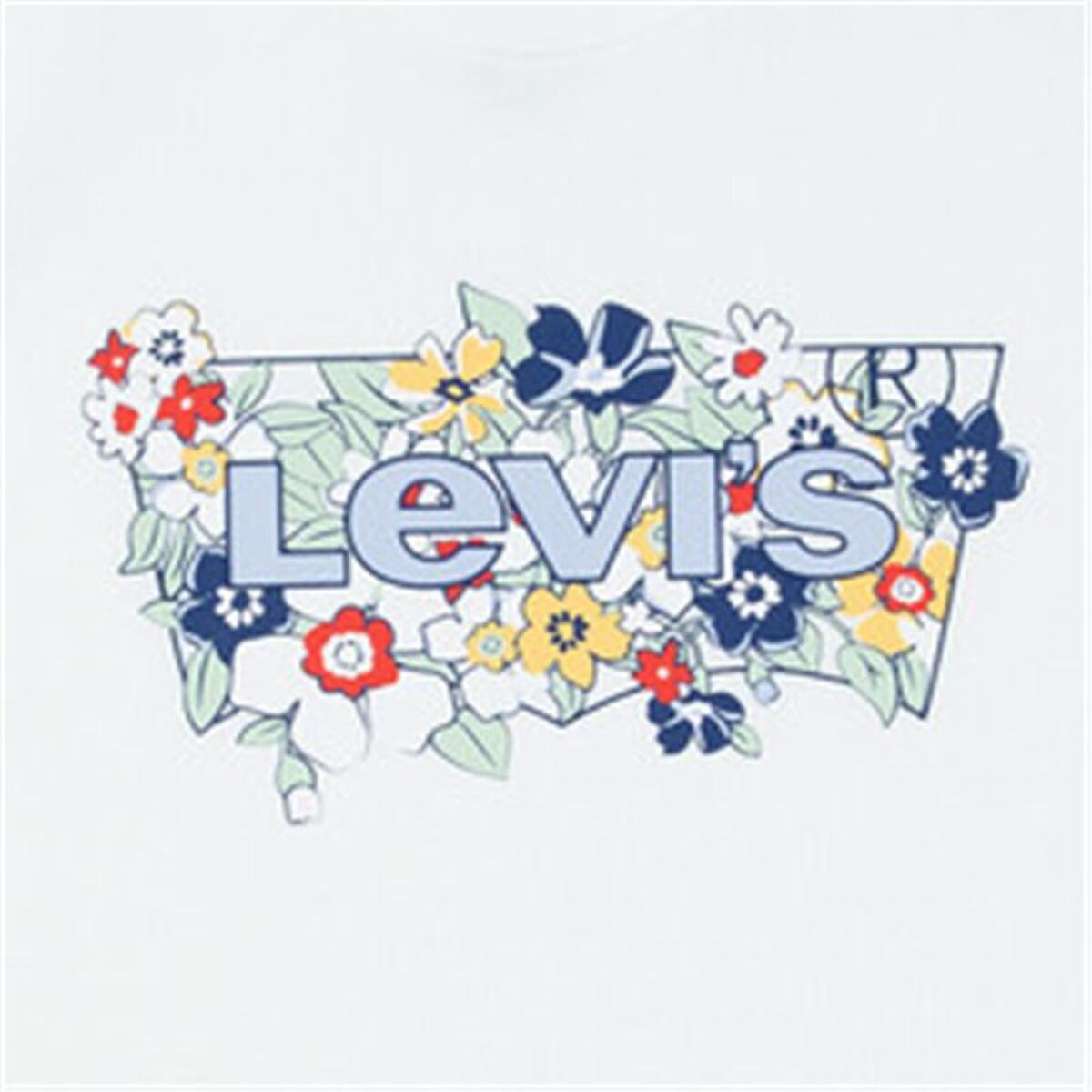 Child’s Short Sleeve T-Shirt Levi’s Lvg Ss Batwing Fill