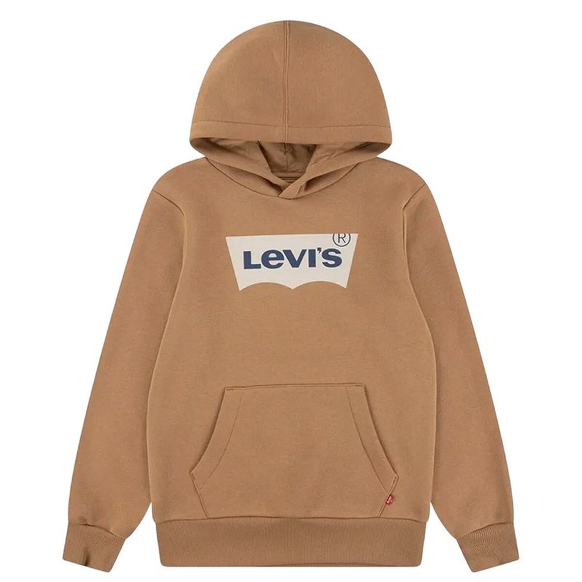 Kinderhoodie Levi's Batwing Screenprint Hoodie Bruin
