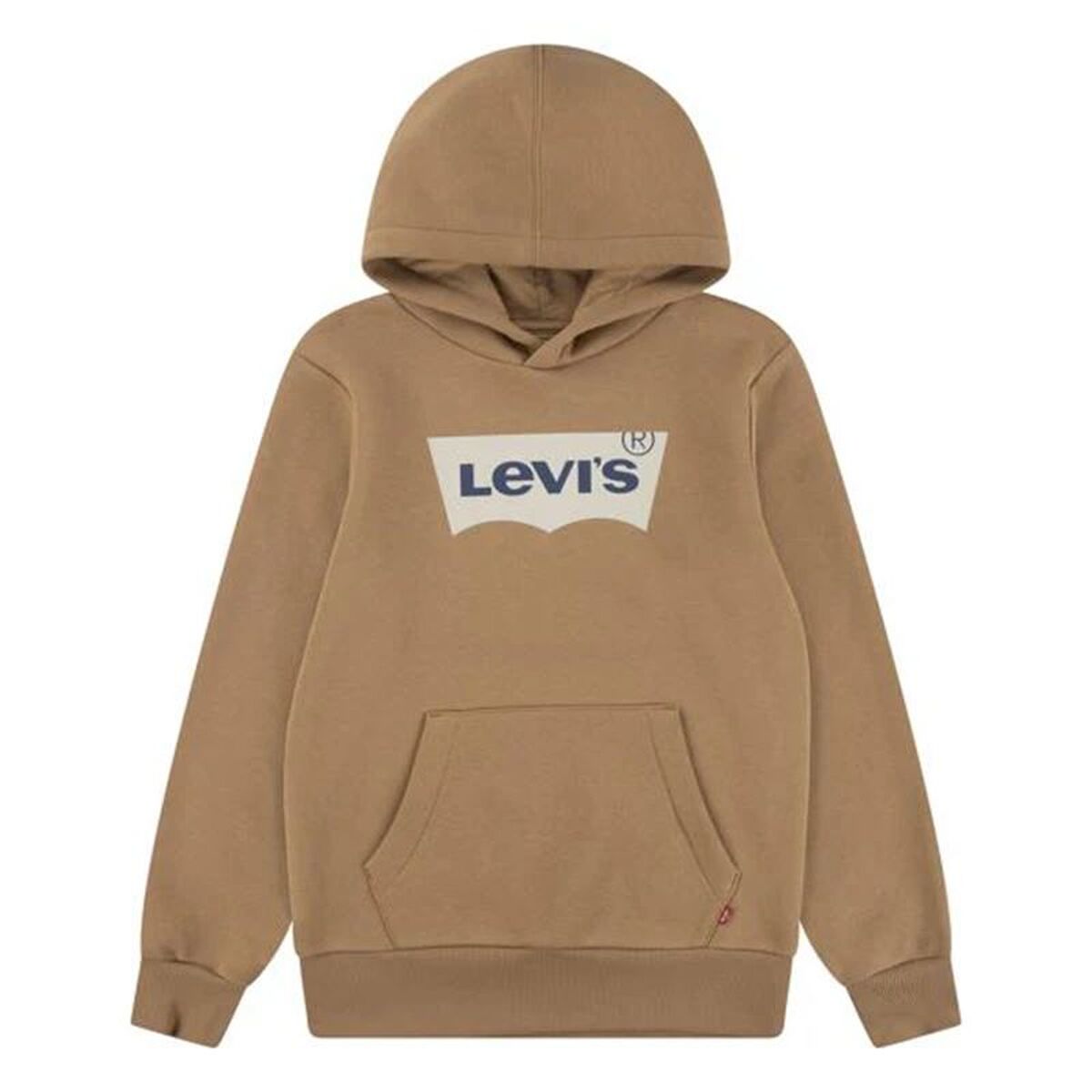 Kinderhoodie Levi's Lvb Batwing Screenprint Hoodie Bruin
