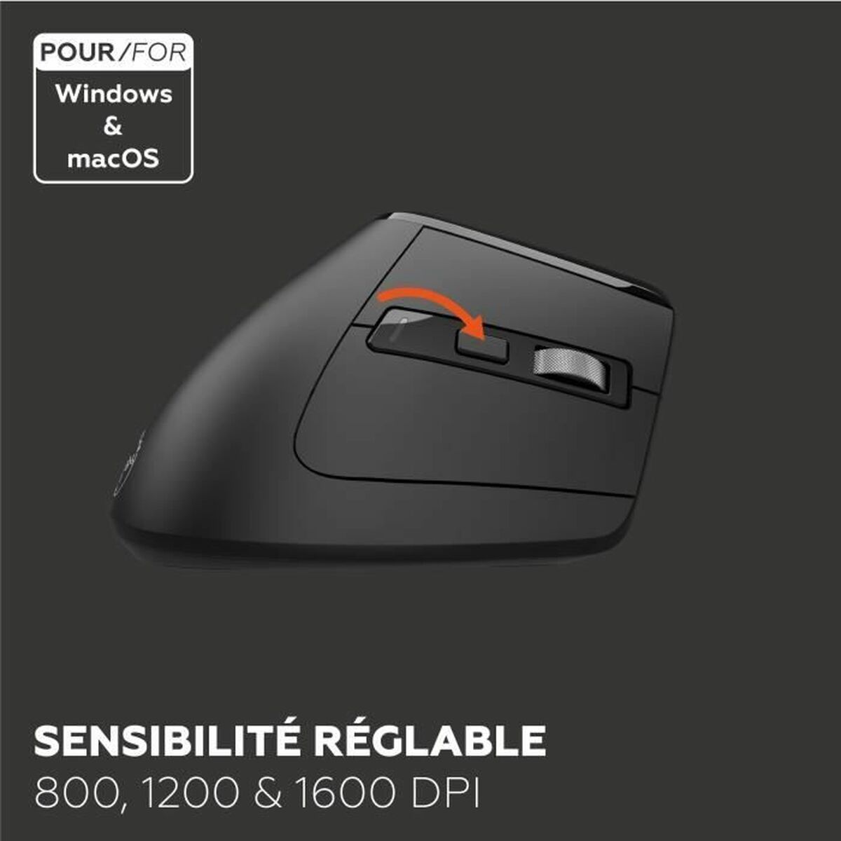 Afbeeldingen van Mouse Mobility Lab