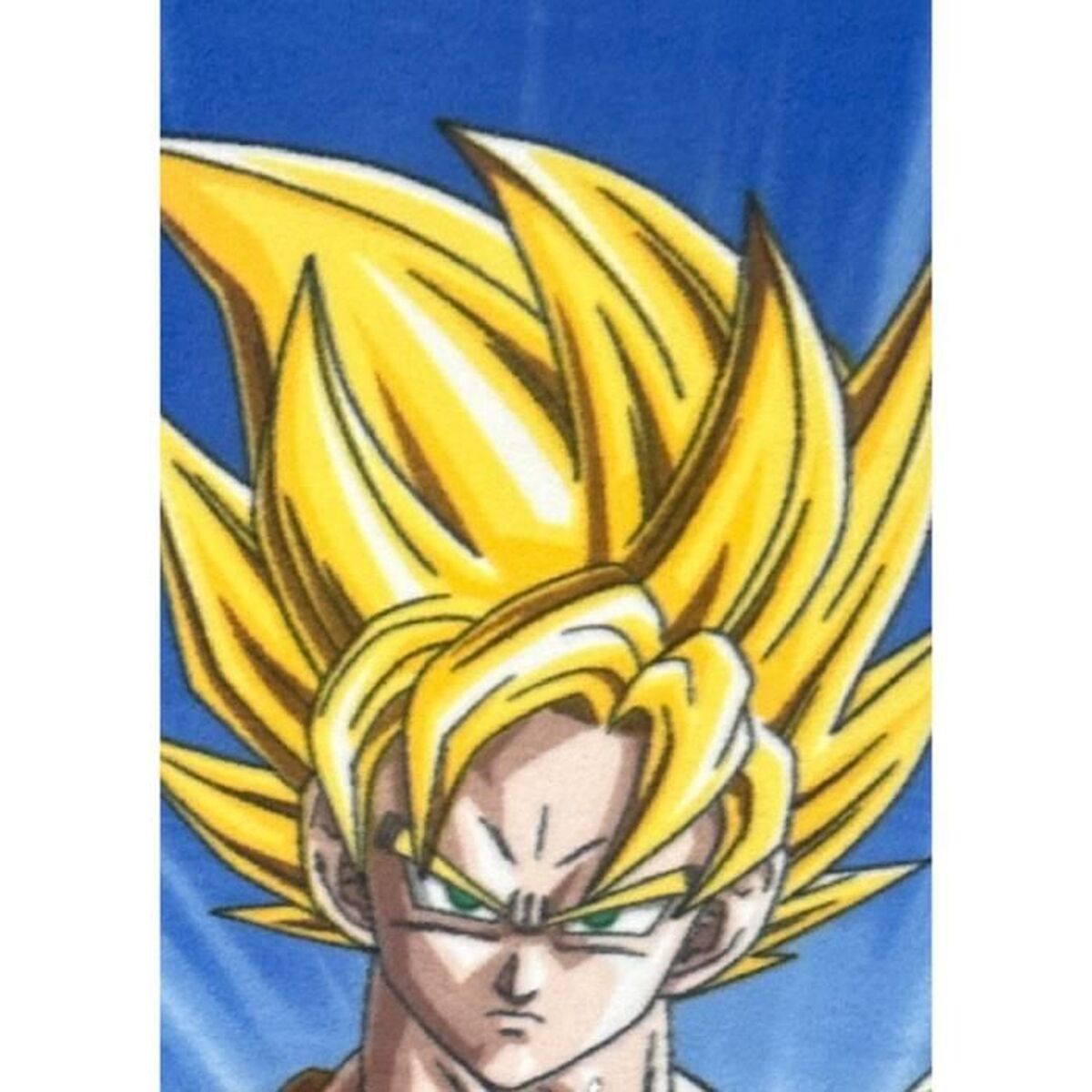 Deken Dragon Ball Multicolour dieren