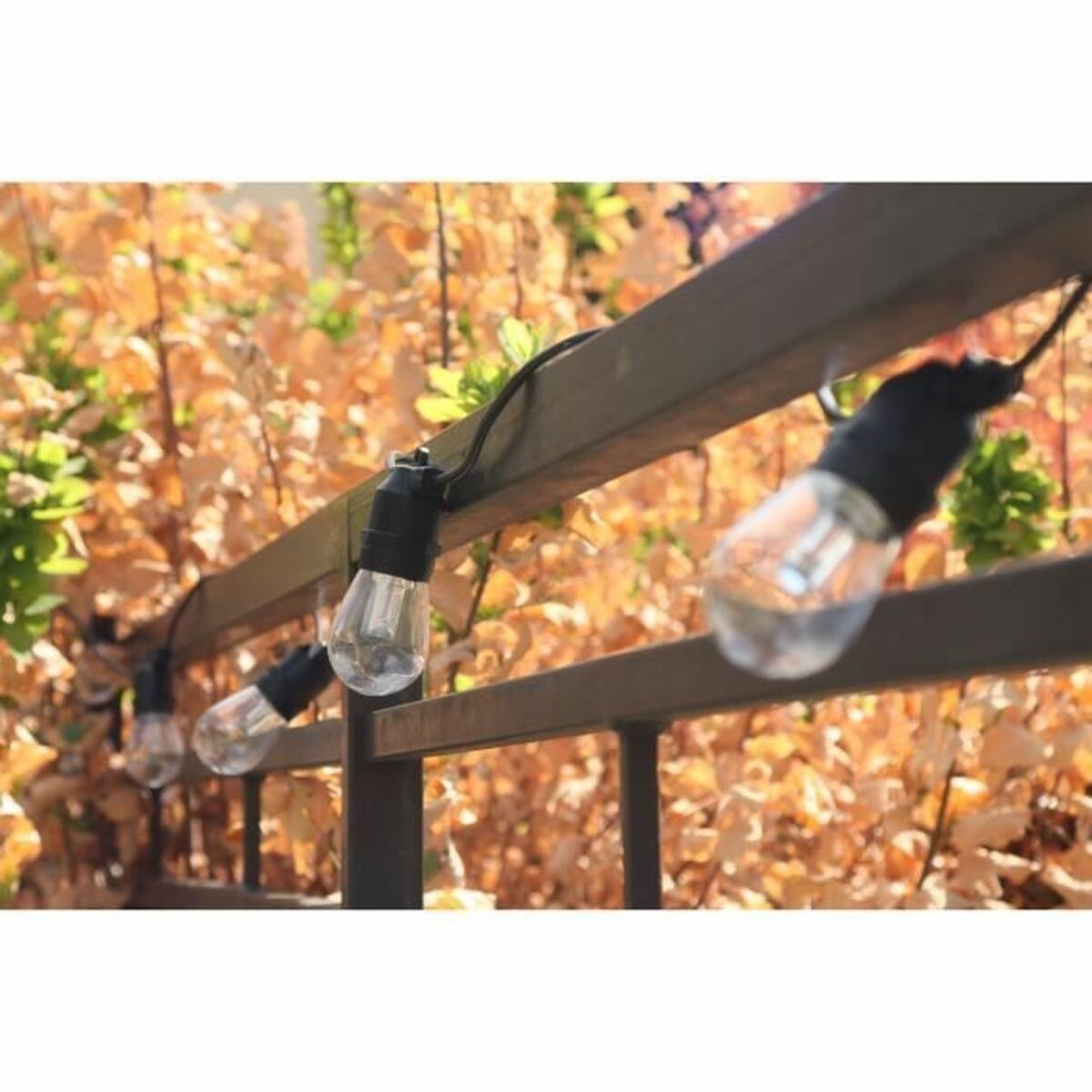 LED-lichtkrans Rio Zwart Multicolour 5 m LED RGB 20