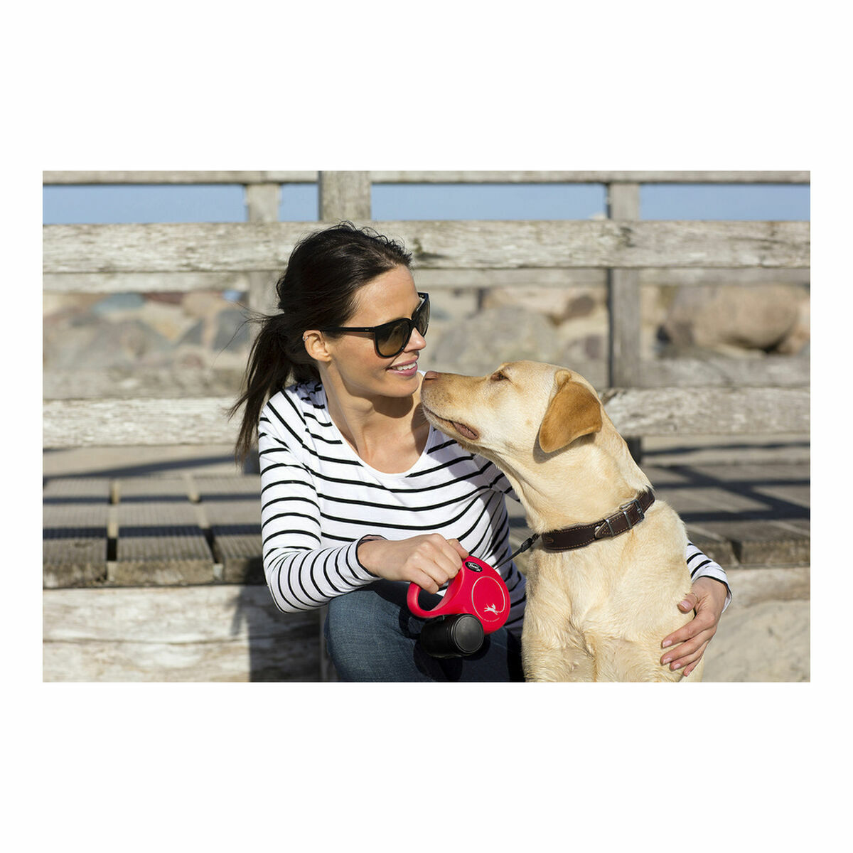 Dog Lead Flexi New CLASSIC Black, view 2