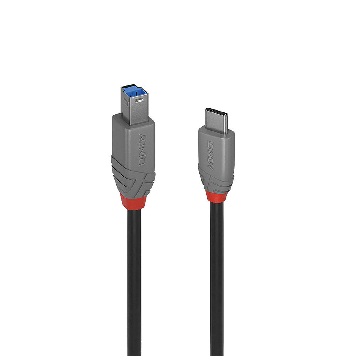 Καλώδιο USB-C σε USB B LINDY 36665 50 cm Μαύρο