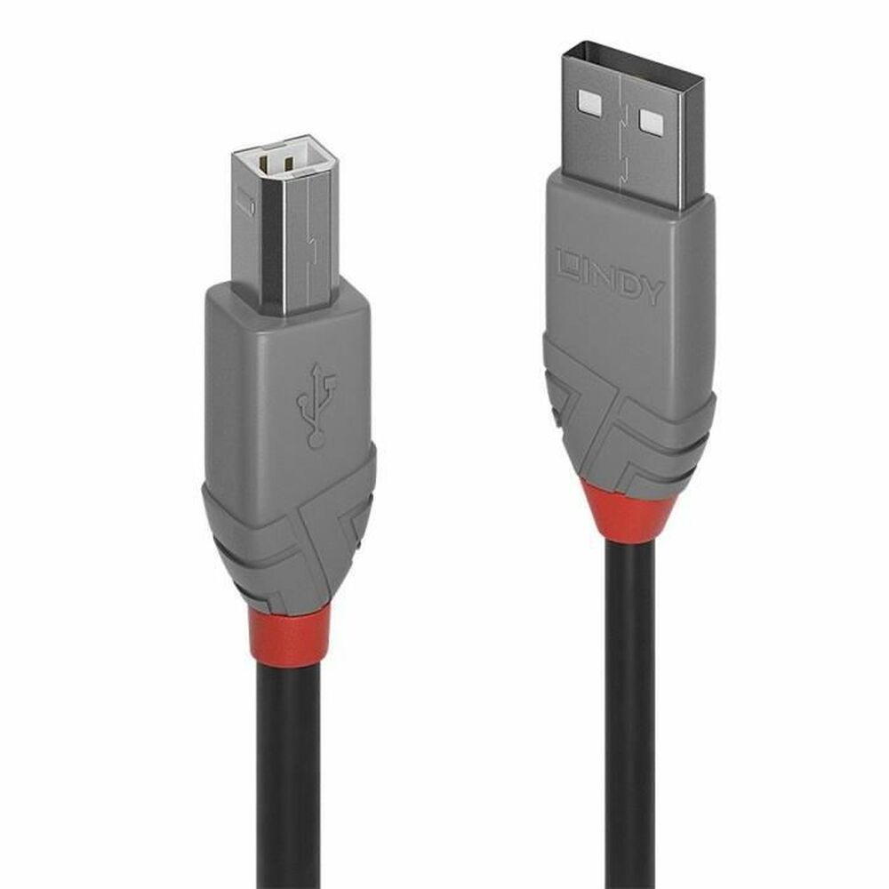 Câble USB A vers USB B LINDY 36672 Noir 1 m