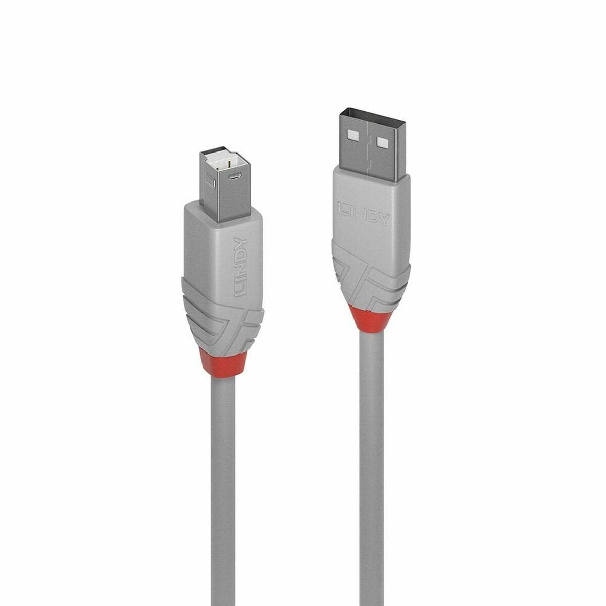 Câble USB A vers USB B LINDY 36682 Gris