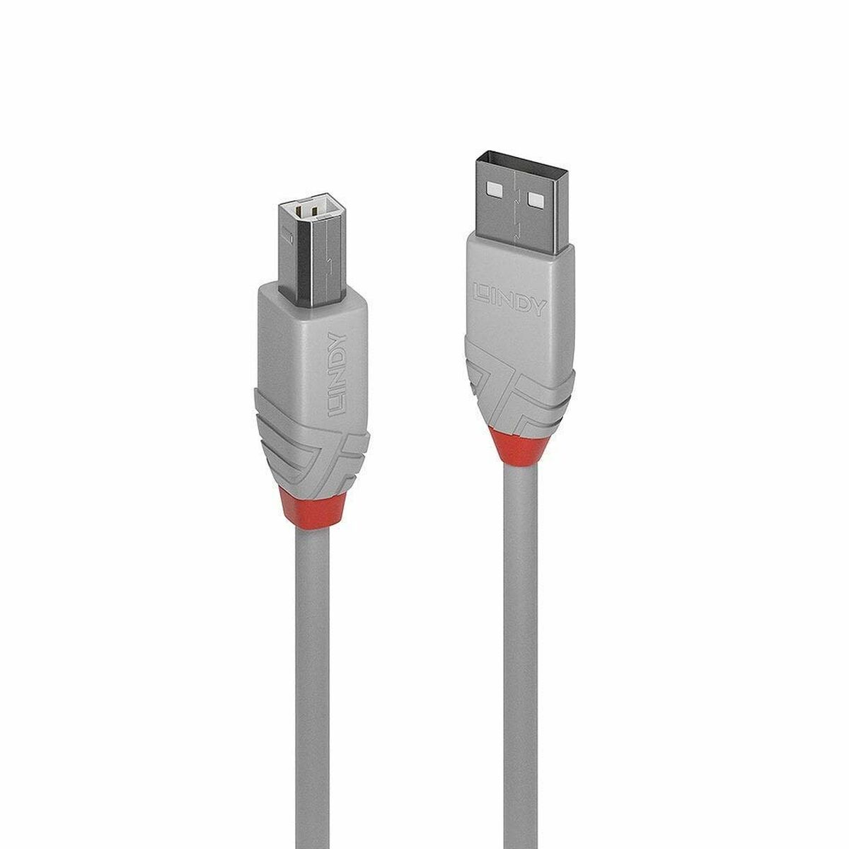 Câble Micro USB LINDY 36684 Noir Gris