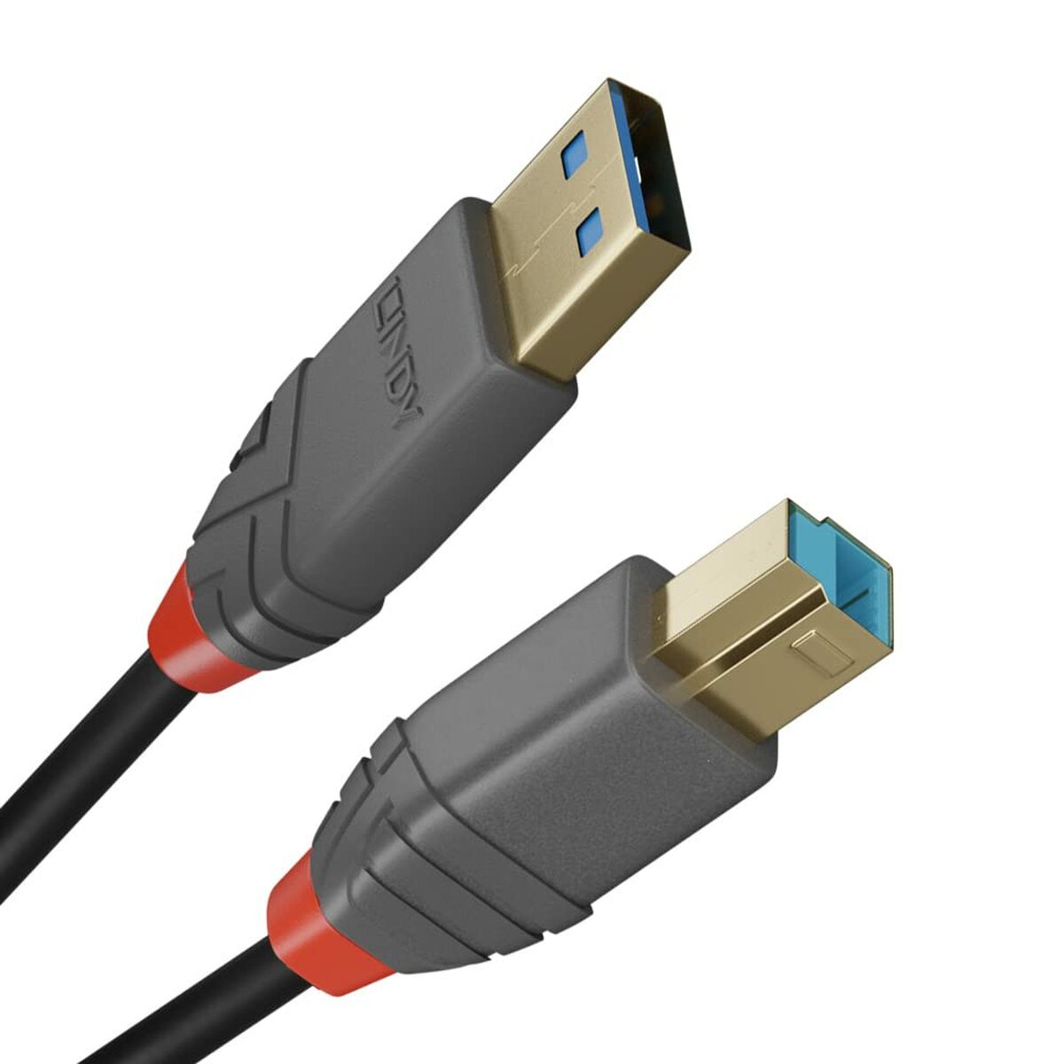 Καλώδιο USB A σε USB B LINDY 36741 1 m Μαύρο