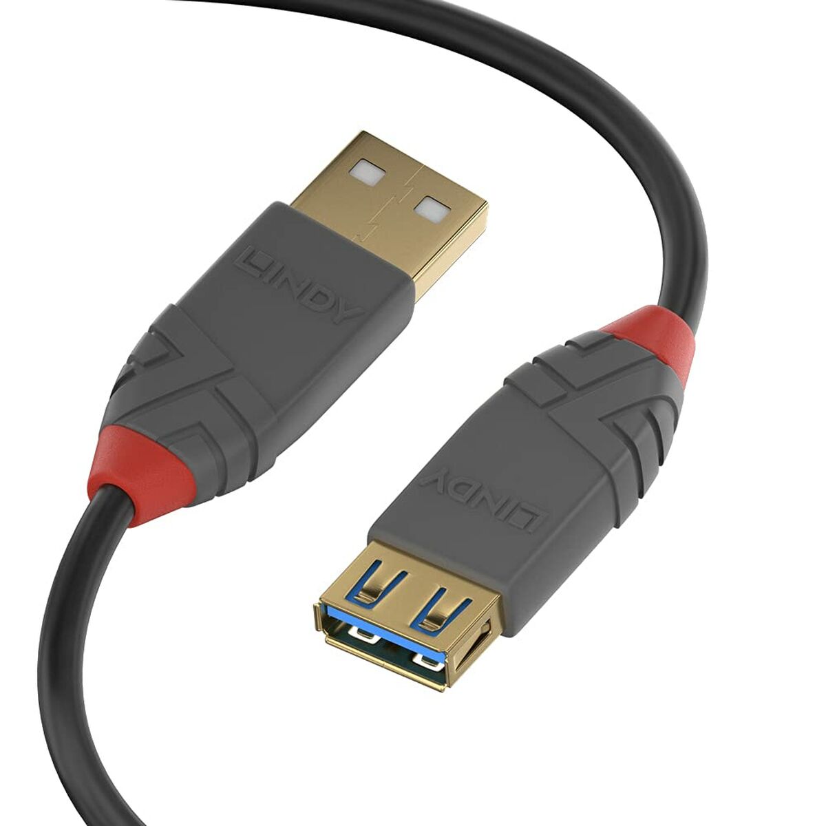 Câble USB LINDY 36761 Noir 1 m (1 Unités)