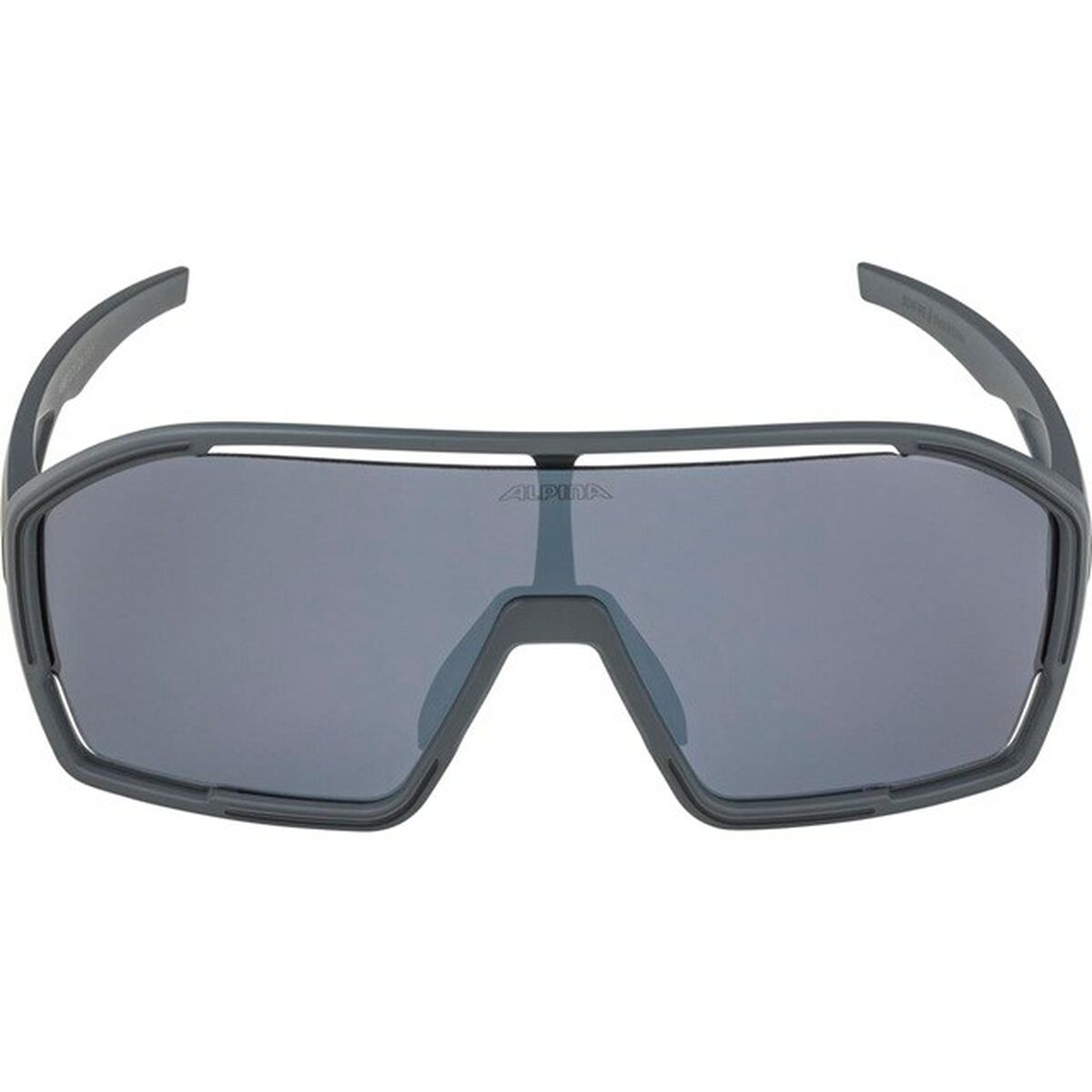 Lunettes de soleil Homme Alpina A8687321