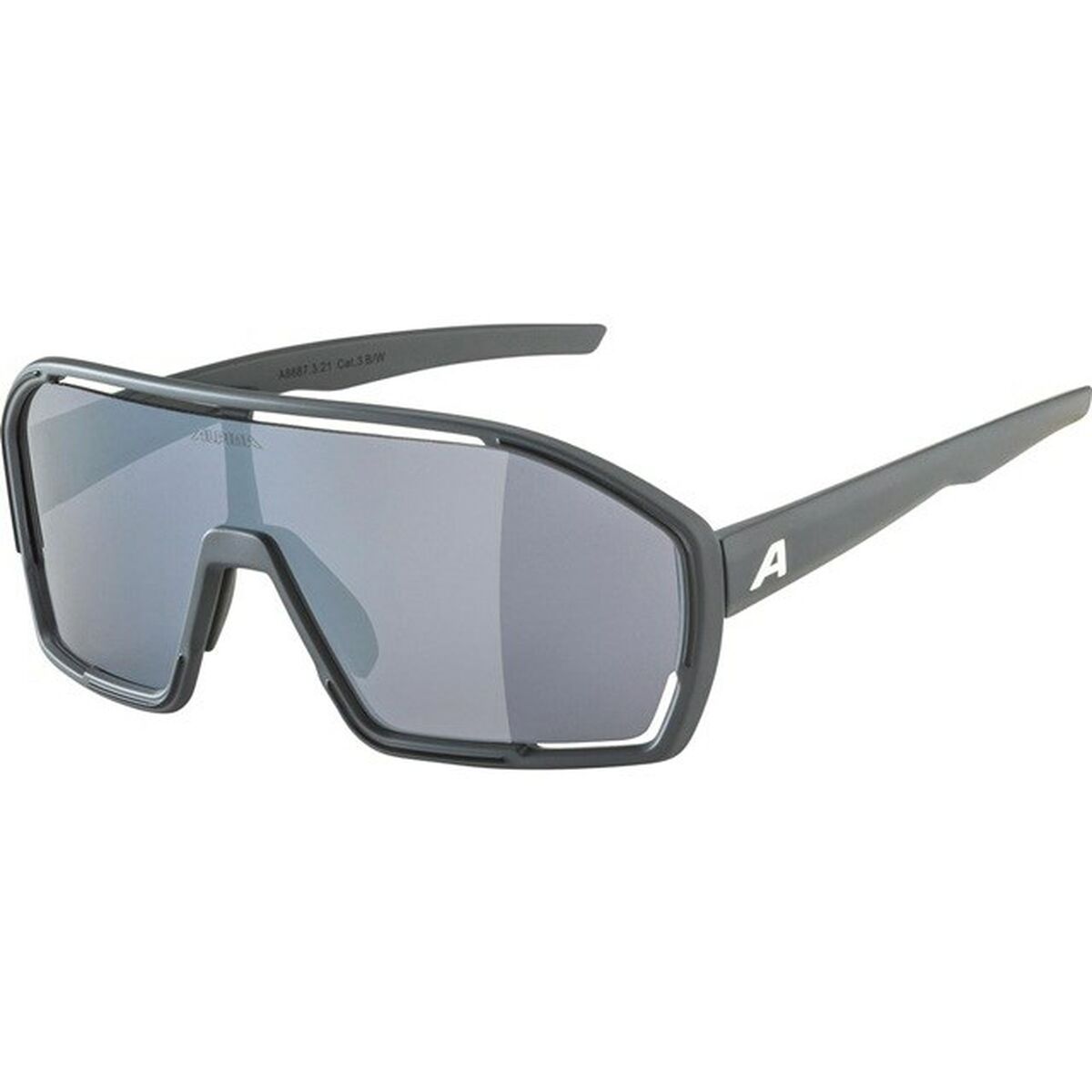 Image secondaire de Lunettes de soleil Homme Alpina A8687321