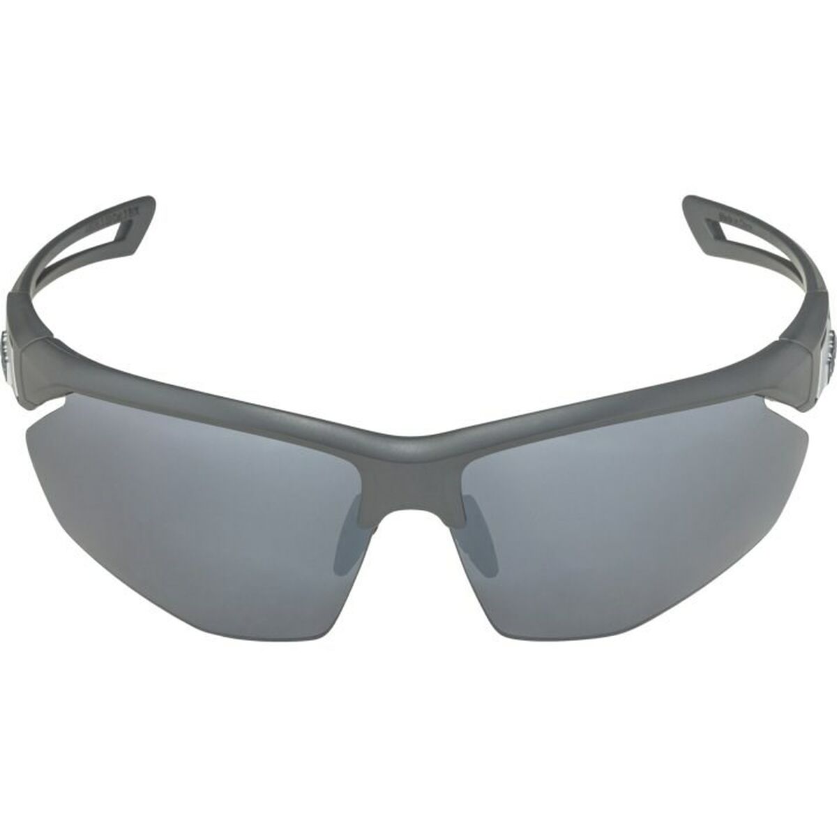 Lunettes de soleil Homme Alpina A8635332