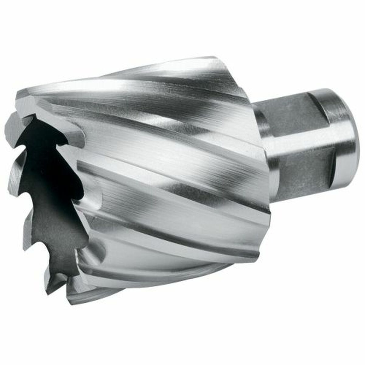 Holle boor TERRAX 22 mm