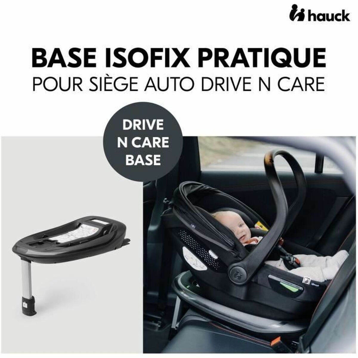 Basis Hauck