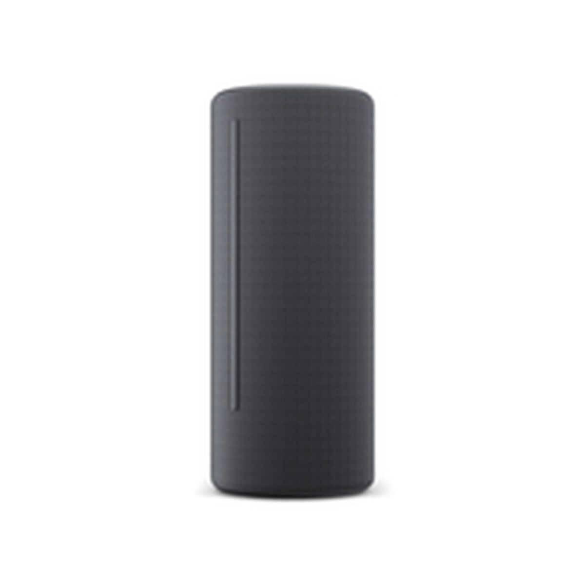 Afbeeldingen van Bluetooth Speakers Loewe Grey