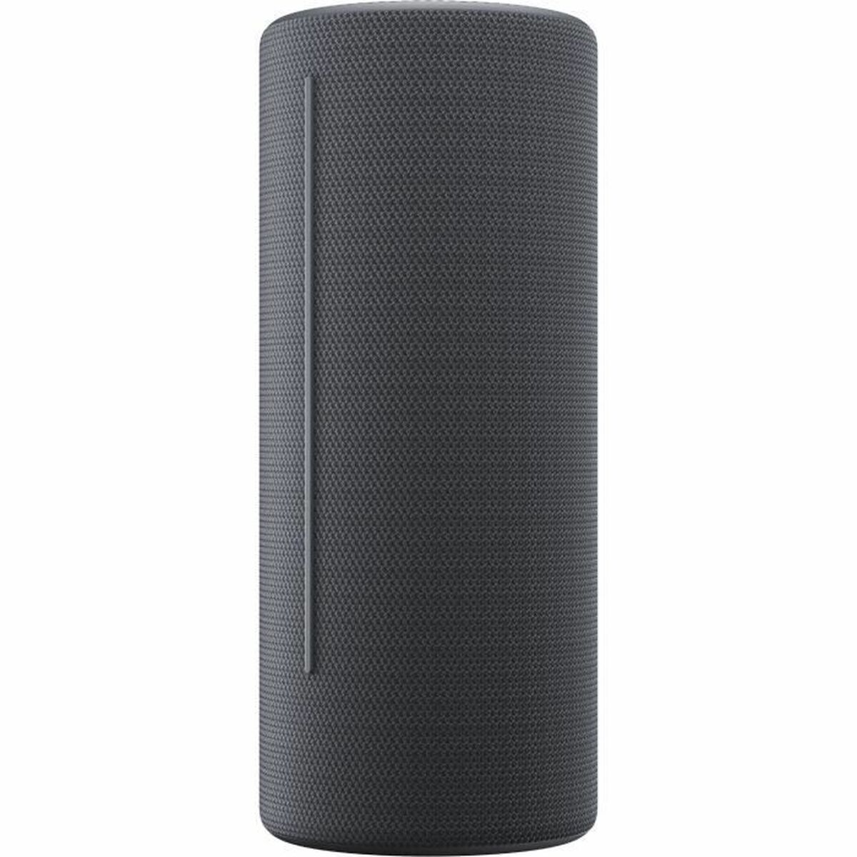 Afbeeldingen van Portable Speaker Loewe We. HEAR 2 Grey 15 W 60 W