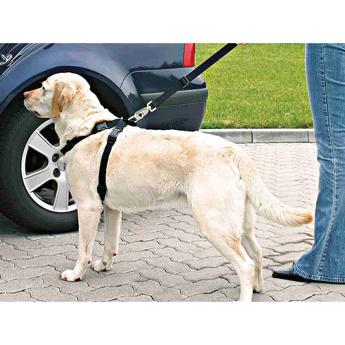 Dog Harness Trixie Black M, view 2