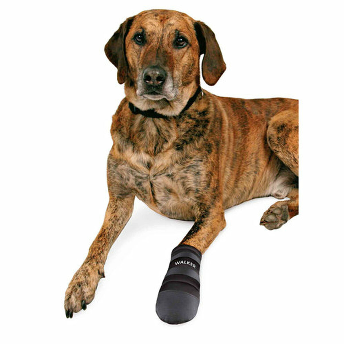 Boots Trixie Walker Care Black XXL, view 4