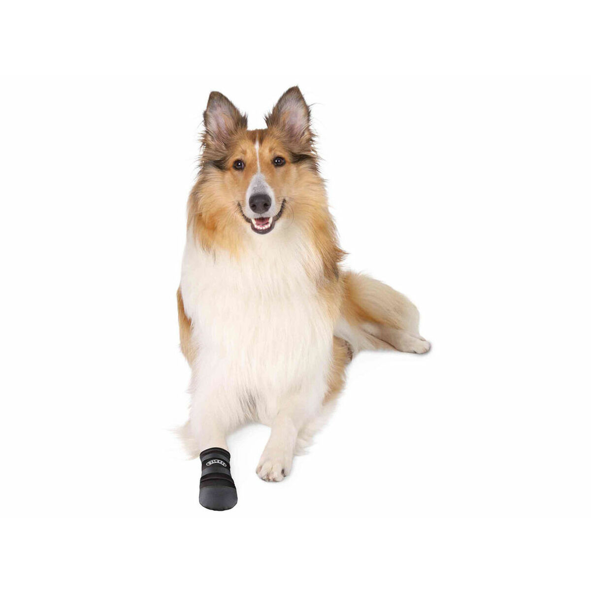 Boots Trixie Walker Care Black L