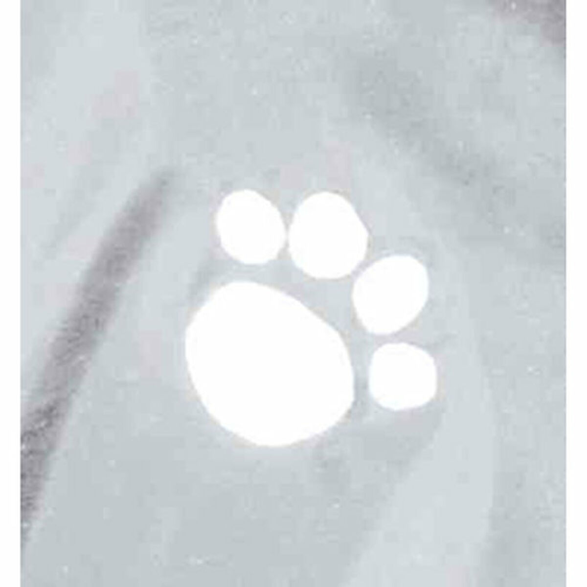 Dog raincoat Trixie Tarbes Transparent XS, view 6