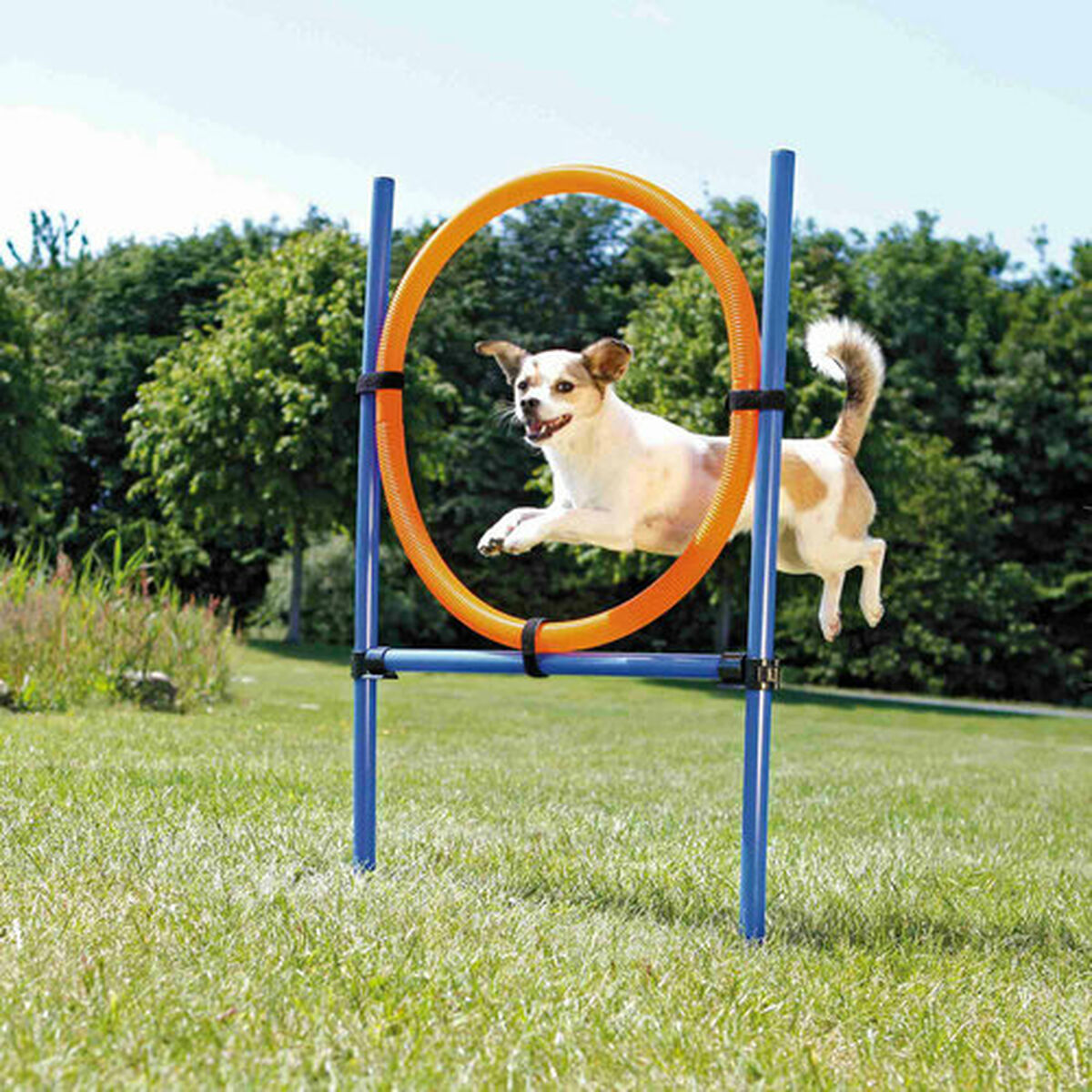 Trainingsspeelgoed Trixie