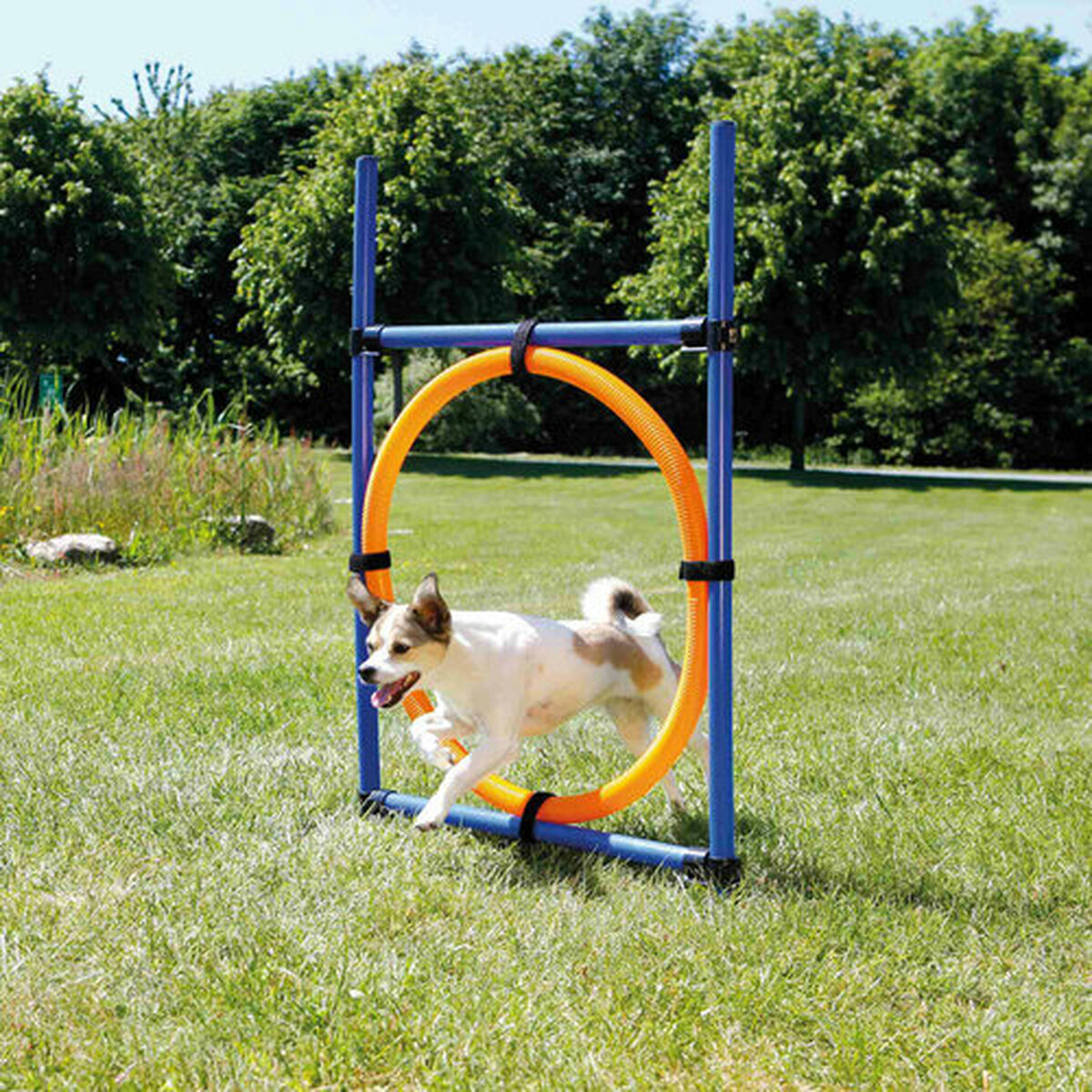 Trainingsspeelgoed Trixie