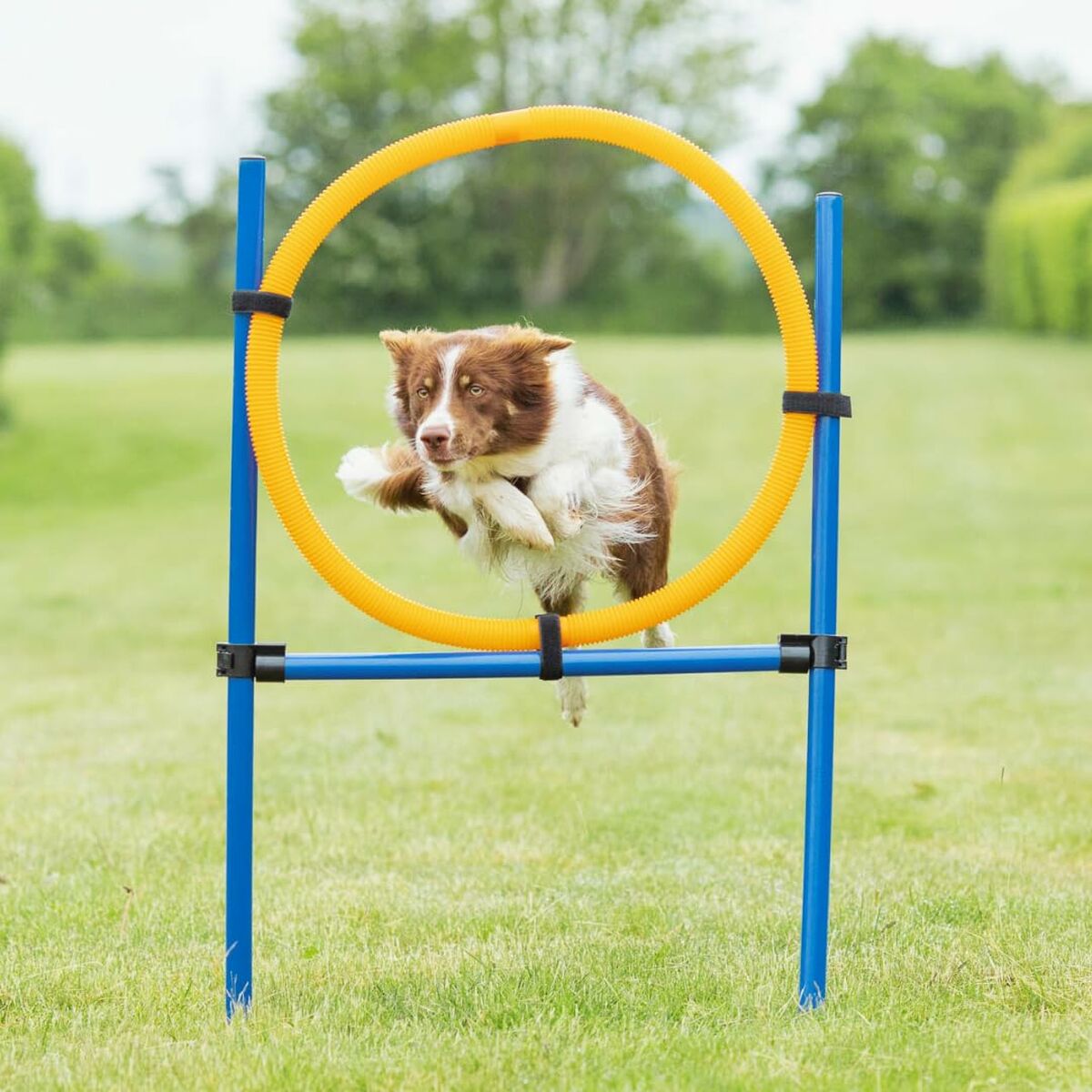 Trainingsspeelgoed Trixie