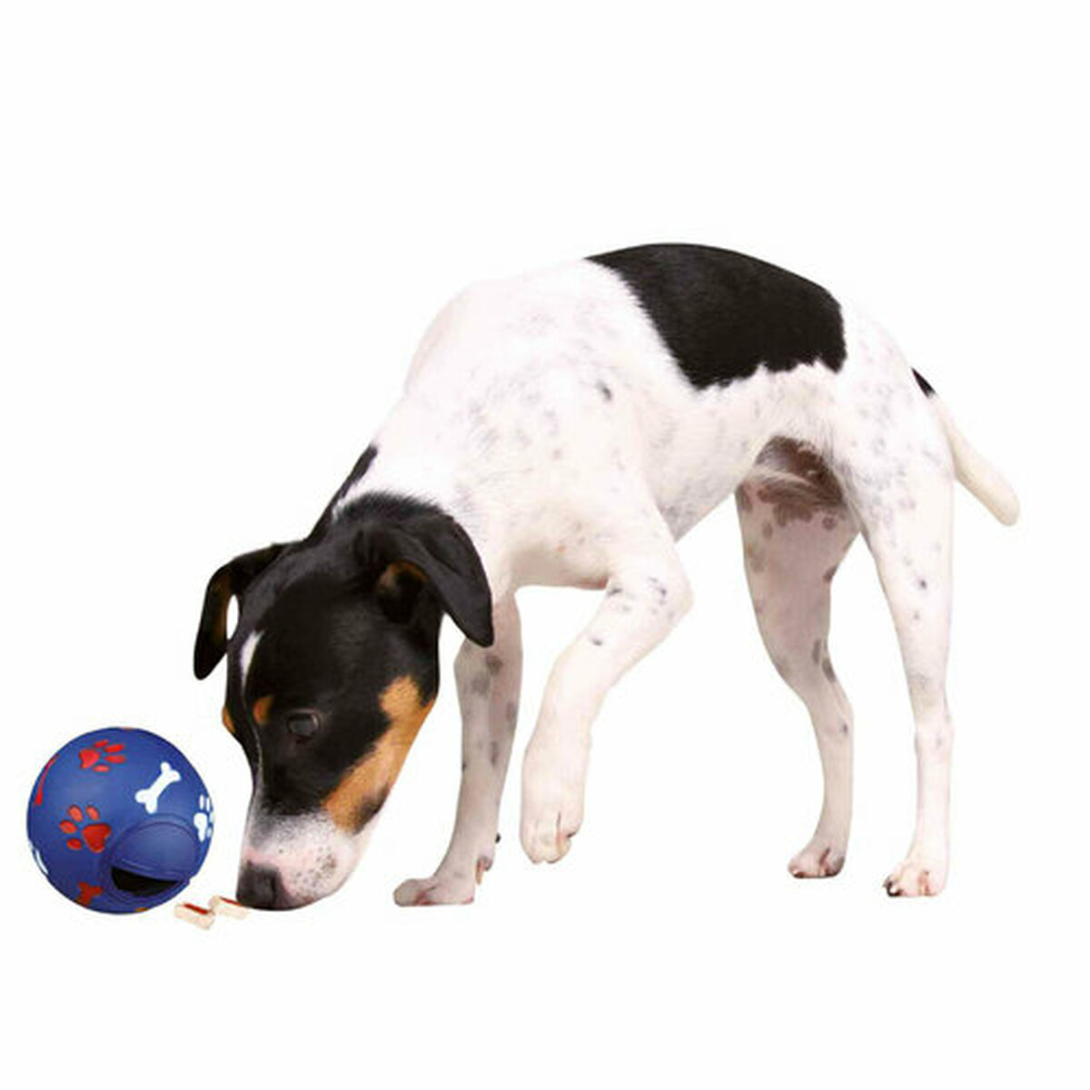 Dog toy Trixie Plastic Snacks, view 6