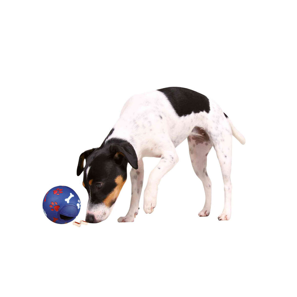 Dog toy Trixie 3492 Blue Plastic Inside/Exterior, view 5