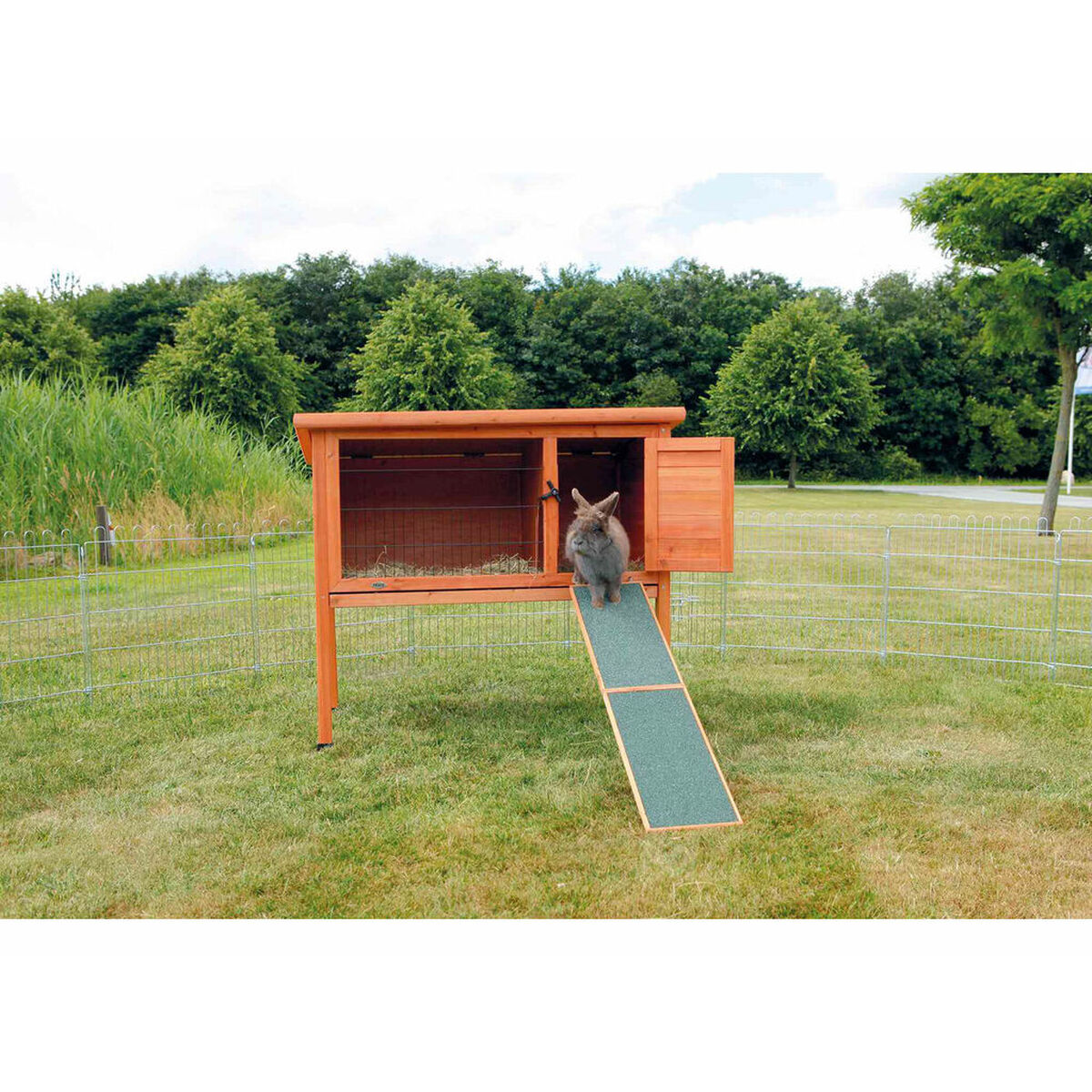 Portable ramp Trixie 20 × 50 CM, view 3