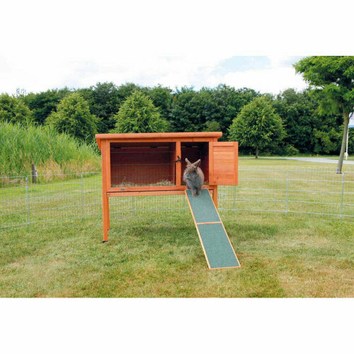 Portable ramp Trixie 20 × 50 CM, view 4